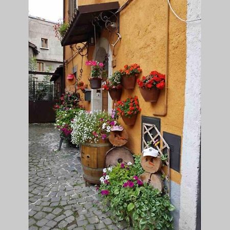 Appartamento Borgo Delle Ginestre Pescasseroli Esterno foto